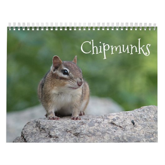 Chipmunks Kalender (Hoes)