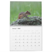 Chipmunks Kalender (Jan 2027)