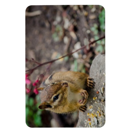 Chipmunk's Meal Magneet (Verticaal)