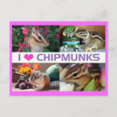 Chipmunks pohto briefkaart (Voorkant)