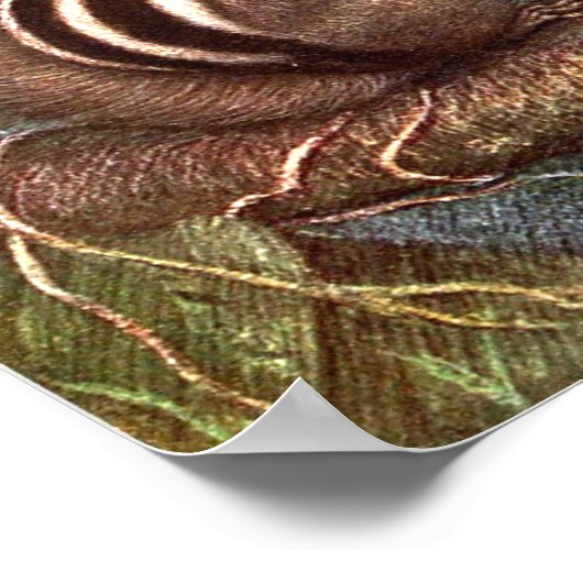 Chipmunks van Louis Sargent,  wilde dieren Poster (Hoek)