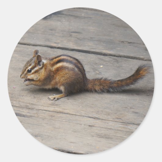 ChipmunkStickers Ronde Sticker (Voorkant)