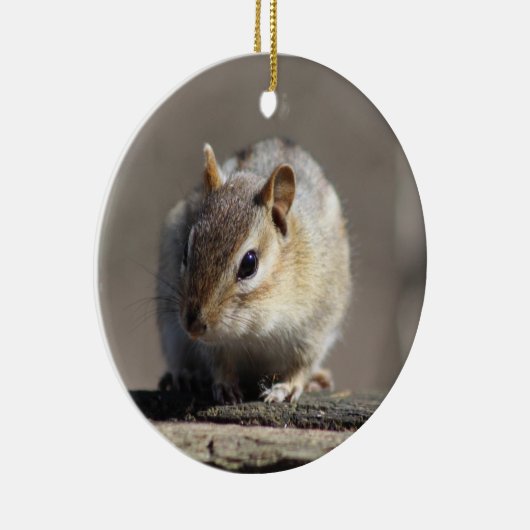 Chipmunkversiering Keramisch Ornament (Rechts)