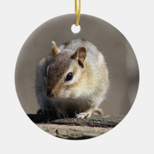 Chipmunkversiering Keramisch Ornament (Voorkant)