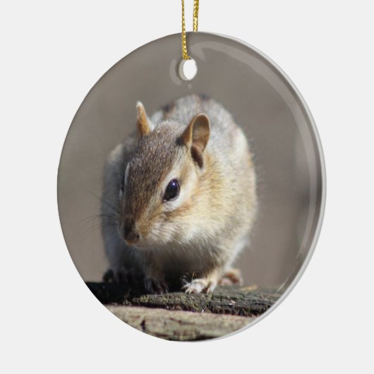 Chipmunkversiering Keramisch Ornament (Links)