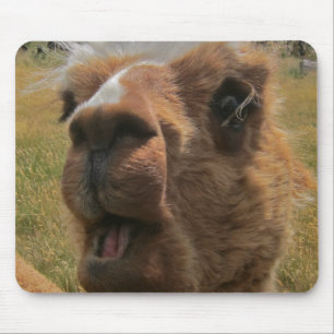 Chipper Alpaca Muismat