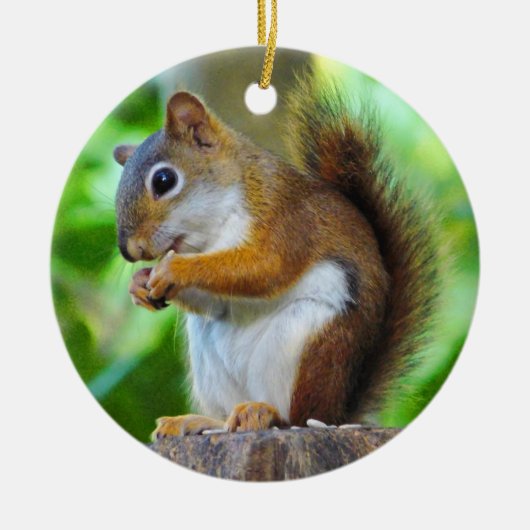 Chipper Red Squirrel Keramisch Ornament (Voorkant)