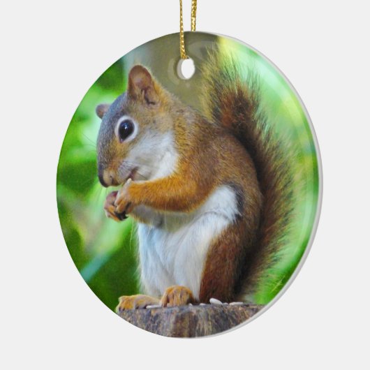 Chipper Red Squirrel Keramisch Ornament (Links)