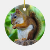 Chipper Red Squirrel Keramisch Ornament (Achterkant)