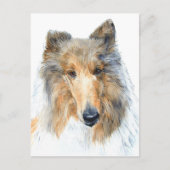 Chipper the Collie Briefkaart (Voorkant)