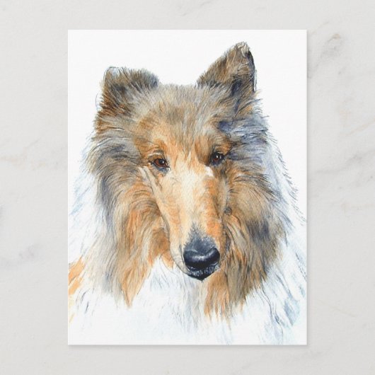 Chipper the Collie Briefkaart (Voorkant)