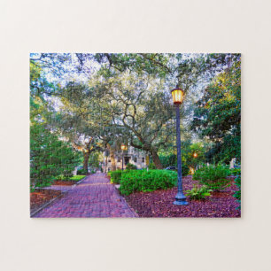 Chippewa Square Savannah Legpuzzel