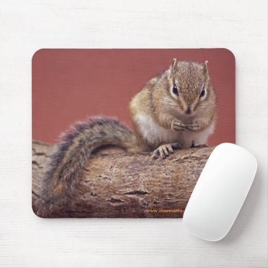 Chippie Muismat (Met muis)