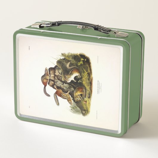 Chipping Eekhoorn ( Eastern Chipmunk ) van Audubon (Achterkant)