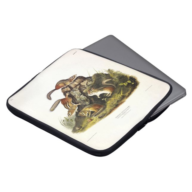 Chipping Eekhoorn ( Eastern Chipmunk ) van Audubon Laptop Sleeve (Voorkant top)