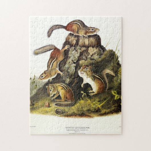 Chipping Eekhoorn ( Eastern Chipmunk ) van Audubon Legpuzzel (Verticaal)