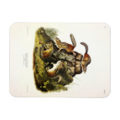 Chipping Eekhoorn ( Eastern Chipmunk ) van Audubon Magneet (Horizontaal)