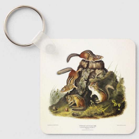 Chipping Eekhoorn ( Eastern Chipmunk ) van Audubon Sleutelhanger (Voorkant)