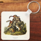 Chipping Eekhoorn ( Eastern Chipmunk ) van Audubon Sleutelhanger (Achterkant)