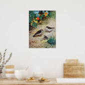 Chipping Sparrow Family en Nasturtiums Poster (Keuken)