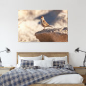 Chipping Sparrow op de rots Canvas Afdruk (Insitu (Slaapkamer))