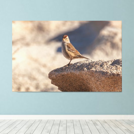 Chipping Sparrow op de rots Canvas Afdruk (Insitu (Houten vloer))