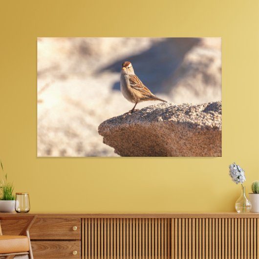 Chipping Sparrow op de rots Canvas Afdruk (Insitu (Woonkamer))