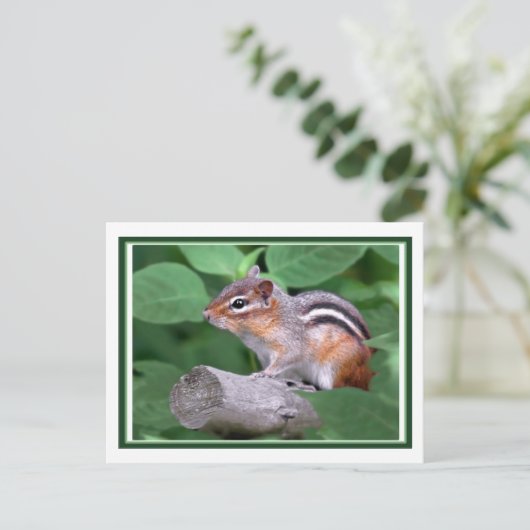Chippy Briefkaart (Staand voorkant)