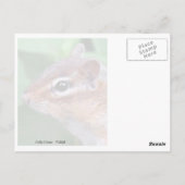 Chippy Briefkaart (Achterkant)
