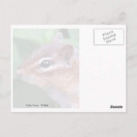 Chippy Briefkaart (Achterkant)