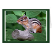 Chippy de Chipmunk (Voorkant Horizontaal)