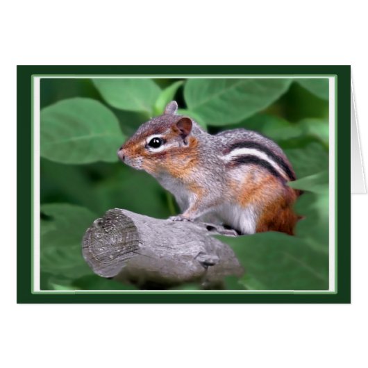 Chippy de Chipmunk (Voorkant Horizontaal)