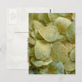 chips met chips briefkaart (Voorkant / Achterkant)