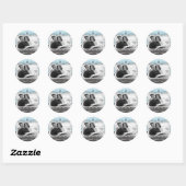 Chique Deco Bewaar de Datum Aankondiging Seal: poe Ronde Sticker (Vel)