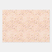 Chique goud blush roze luipaard print inpakpapier vel (Voorkant 3)
