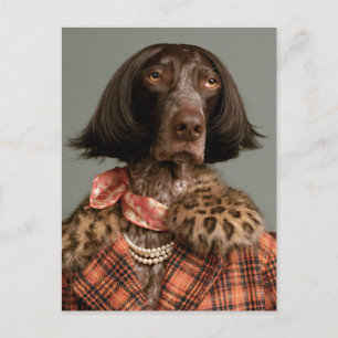 Chique Hond Fashionista in Vintage Plaid Briefkaart