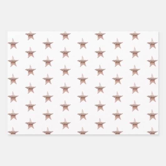Chique Kerst metallic roos gouden ster Inpakpapier Vel (Voorkant 3)