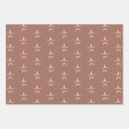 Chique Kerst metallic roos gouden ster Inpakpapier Vel