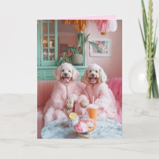 Chique Labradoodles in een roze lounge (Voorkant)