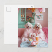 Chique Labradoodles in een roze lounge Briefkaart (Voorkant / Achterkant)