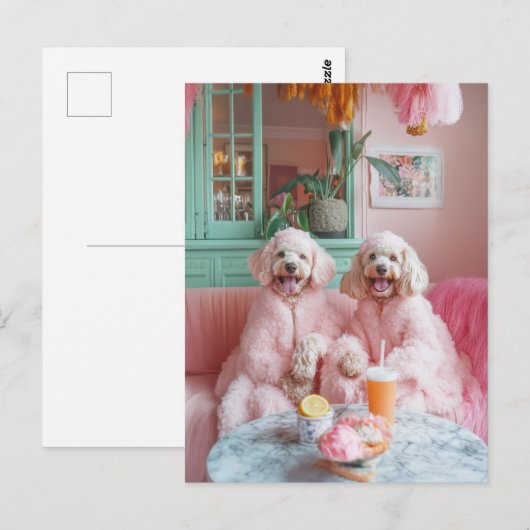 Chique Labradoodles in een roze lounge Briefkaart (Voorkant / Achterkant)