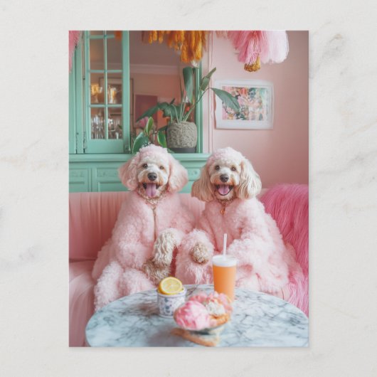 Chique Labradoodles in een roze lounge Briefkaart (Voorkant)