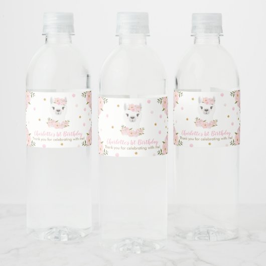 Chique Llama Blush Roze Bloemen Verjaardagsfeestje Waterfles Etiket (Flessen)