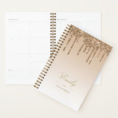 Chique luxe glitter druppels goud 2025 planner (Display)