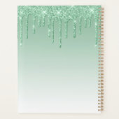 Chique luxe glitter druppels groen 2024 planner (Achterkant)