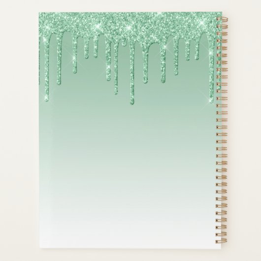 Chique luxe glitter druppels groen 2024 planner (Achterkant)