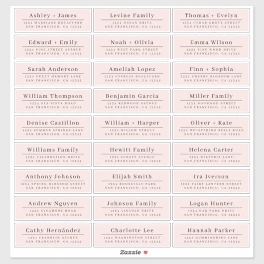 Chique minimale roze trouwgast adreslabels sticker (Vel)
