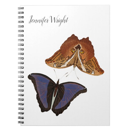 Chique minimalistische naam vlinders calligrafie notitieboek (Voorkant)