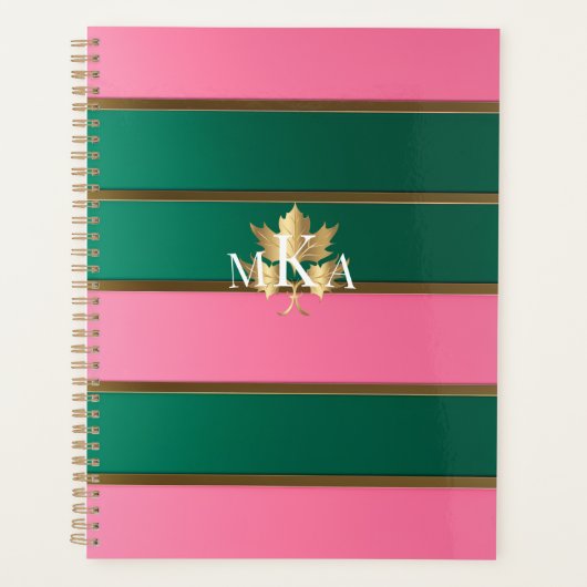 Chique roze en groen gestreept planner (Voorkant)