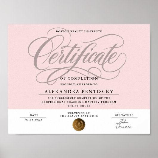 Chique Roze Roze Professionele Certificaat Schoonh Poster (Voorkant)
